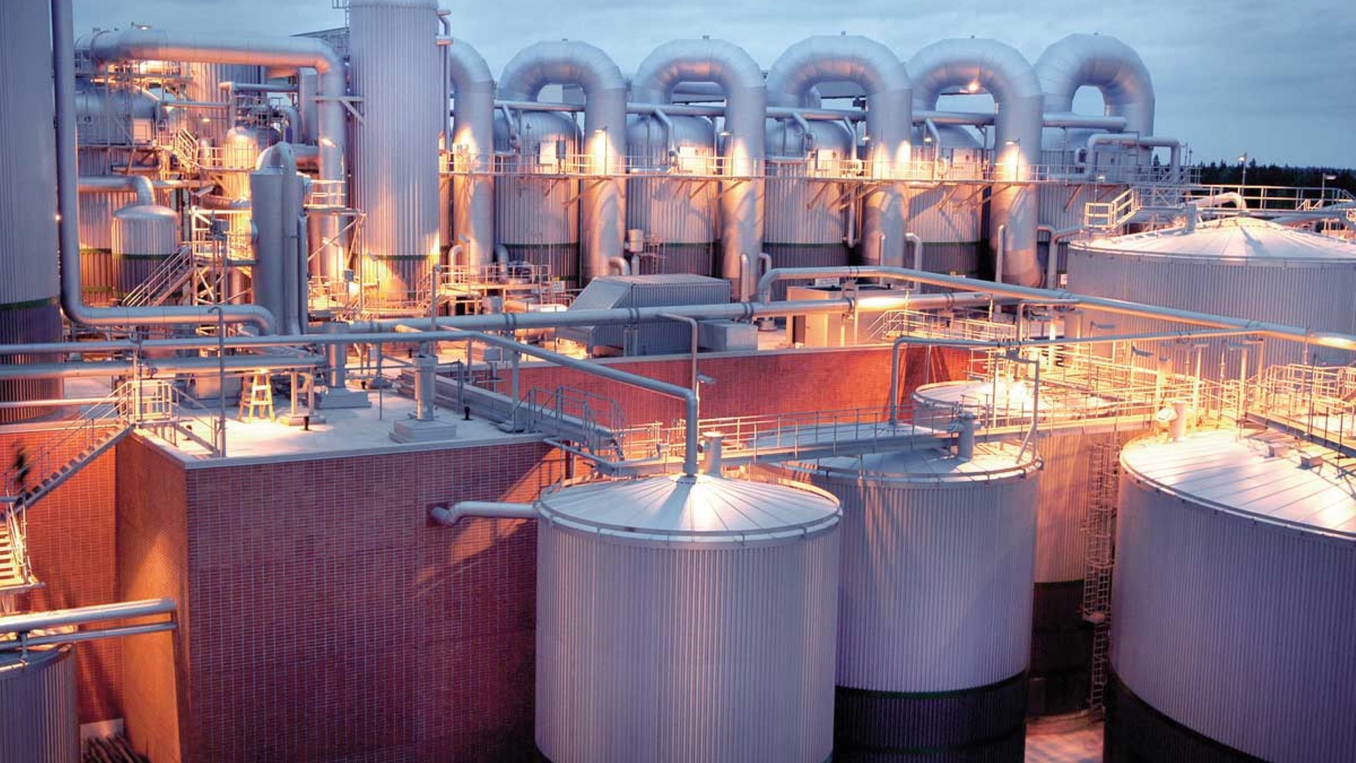 Chemical & Petrochemical